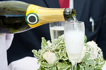 Champagne & Sparkling Wines