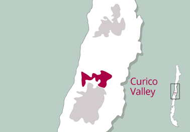 Curico Valley