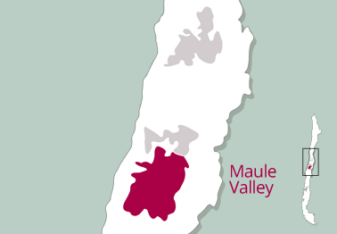 Maule Valley