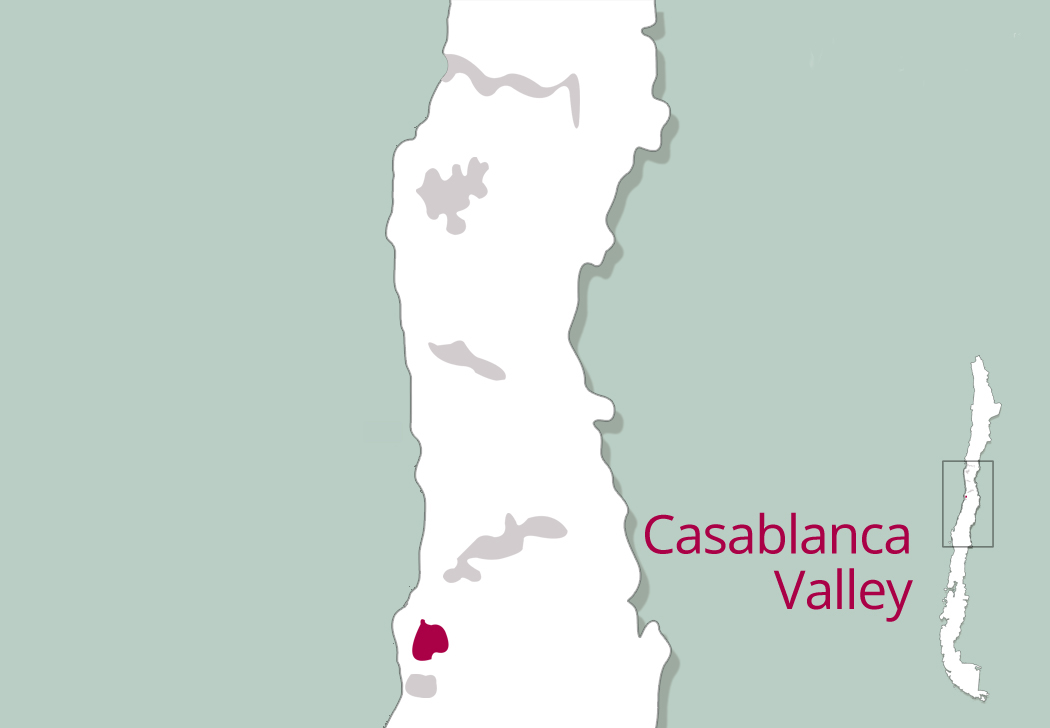 Casablanca Valley