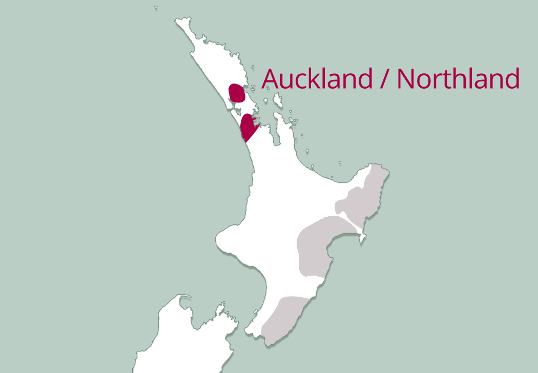 Auckland & Northland