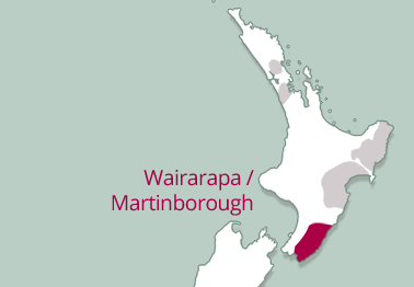 Wairarapa & Martinborough