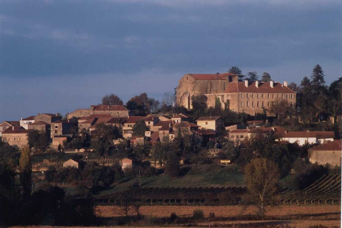 The Forgotten Grapes of Gascony