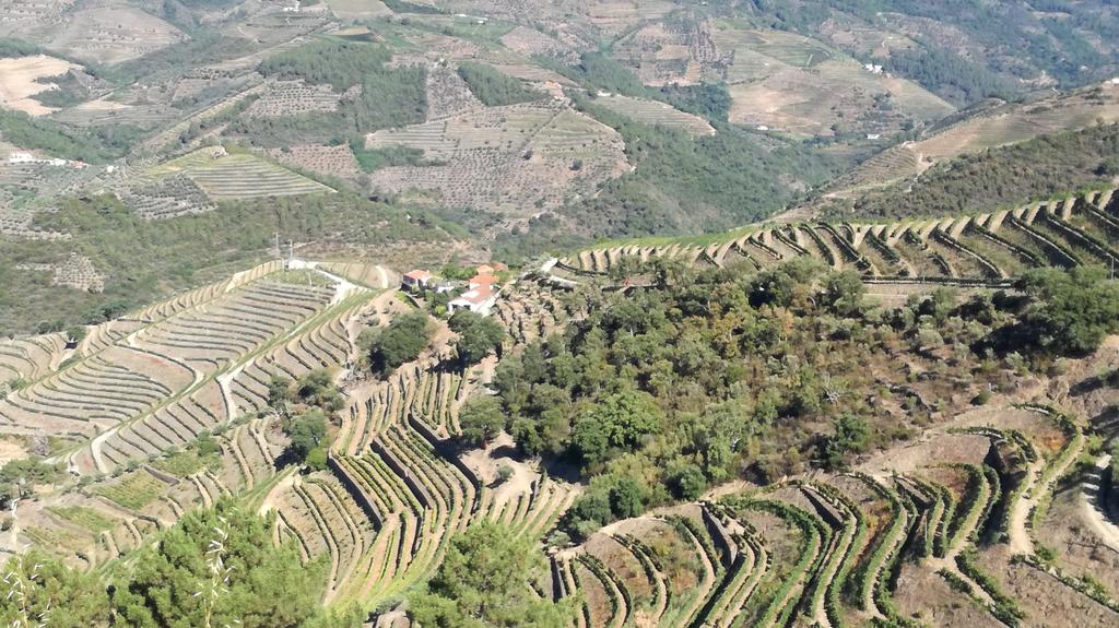 It's from the Douro... but it's not Port It's from the Douro... but it's not Port