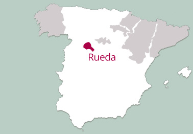 Indigenous Grapes of the Rueda