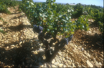 The Secrets of the Galets