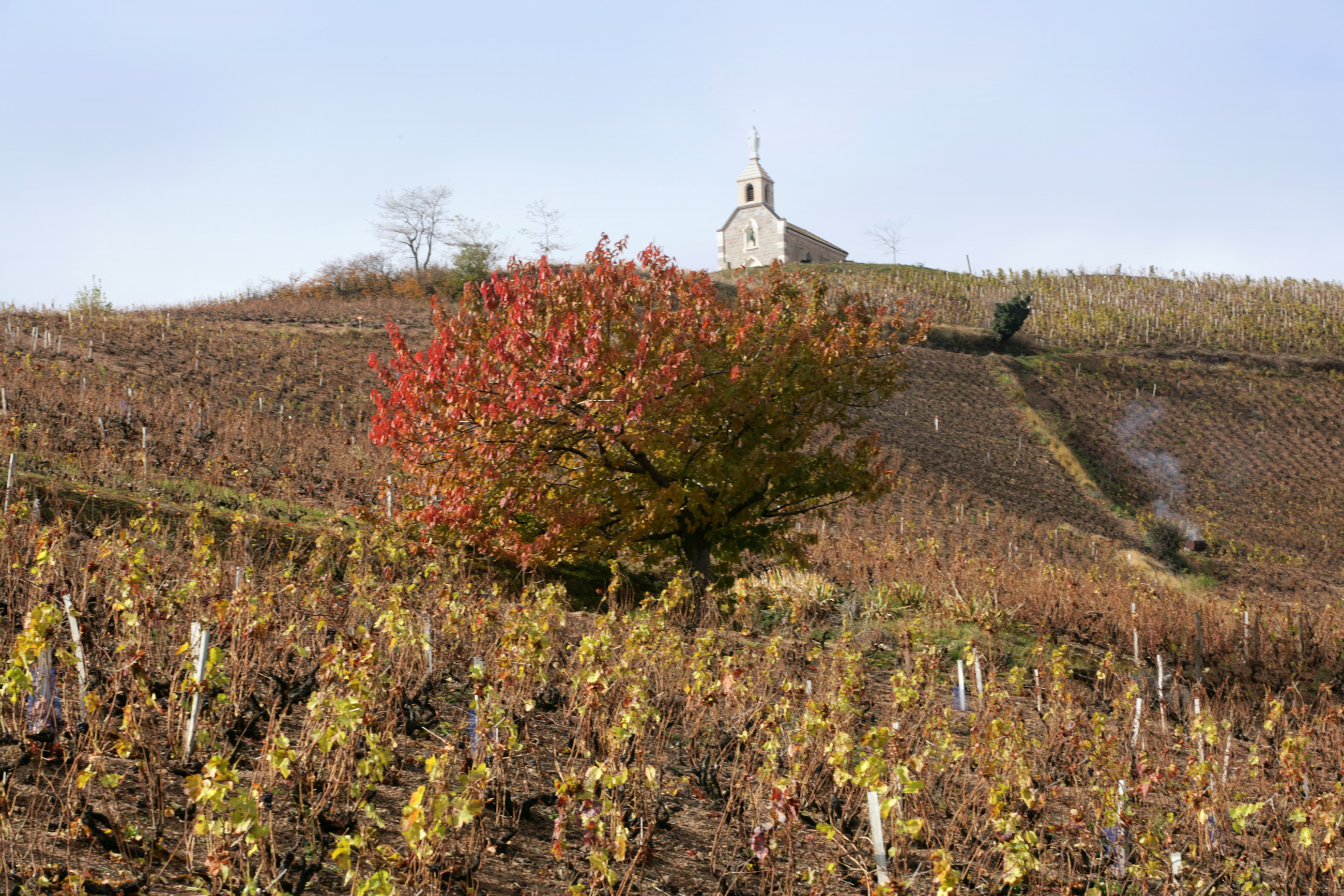 Fleurie: A New, Yet Old Classic