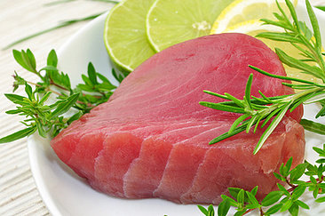 Tuna & Other Meaty Fish