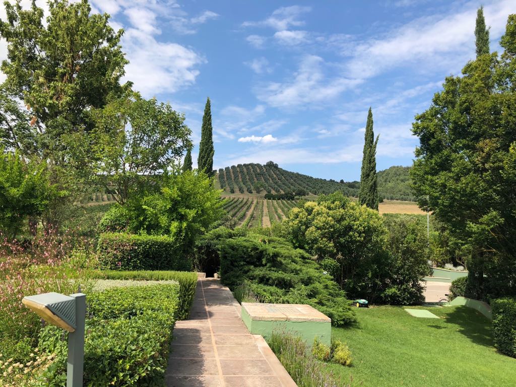 Everyday Drinking Wines