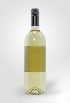 Chilean Sauvignon Blanc (Back Label), 2021